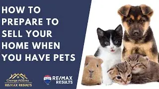 How to Prepare to Sell Your Home When You Have Pets
