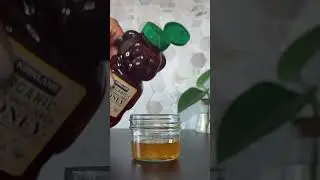 DIY Homemade Fruit Fly Trap  #shorts  #hack #fruitflies #kitchentips #pestcontrol
