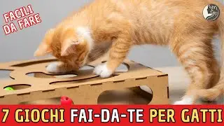 7 Giochi Fai da Te Facilissimi per Rendere Felice il Tuo Gatto