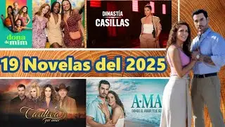 Top 19 Novelas del 2025