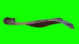 FREE_HD_Green_Screen_MAGIC_CARPET___FLYING_CARPET