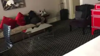 Kimpton Sir Francis Drake Hotel Room Review in San francisco