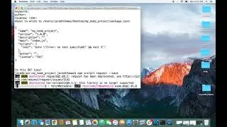 npm install