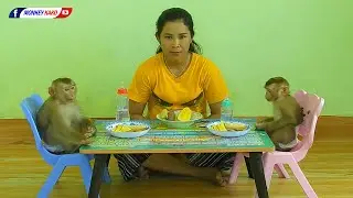 Funny Monkey, Adorable KAKO & LUNA Happy Joining Lunch With MOM