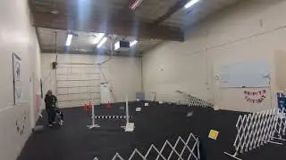 Arrow's Obedience Foundation - Rally course round 2