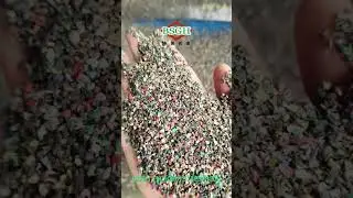 Voulez-vous gagner de l'argent gr&acirc;ce au recyclage du fil de cuivre&nbsp;?