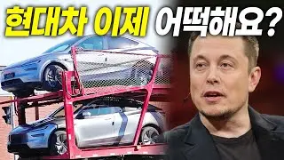 드디어 모델Y도 한국에서 FSD 된다? 테슬라 기습발표, 현대차 긴장해야겠다!