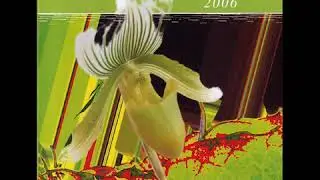 ambient : Pop Ambient 2006