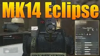 Advanced Warfare Elite Weapons - MK14 Eclipse (Call of Duty AW Gun Variant)