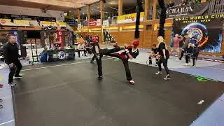 WMAC Bregenz Open 2024 Pointfighting Male Grand Champion Semifinal 2