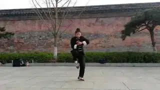Wudang Tanglang Quan (Praying Mantis)