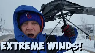 BLIZZARD DAMAGE! Heavy Snow Snapping Wires and Trees