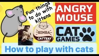 CAT GAMES - Catching mice! Entertainment video for cats || Simba Cattery || Aamir bhai ki cats ||...