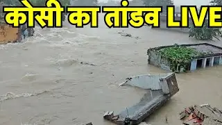 🟢Bihar Flood News Live : 56 साल का टूटा रिकॉर्ड, बिहार तबाह | kosi barrage | Breaking | Bihar News