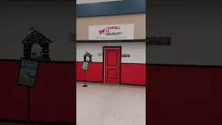 Dog training in North Bend Oregon, speak dog