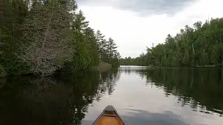 Paddling - Little Caribou Lake from the Caribou Lake portage to Campsite 692 in the BWCA