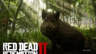 How to Find and Kill The Legendary Boar In RDR2