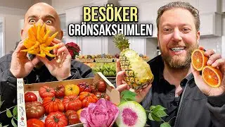BES&Ouml;KER GR&Ouml;NSAKSHIMLEN |&nbsp;DR&Ouml;MMEN OM EN RESTAURANG I STOCKHOLM DEL 3 | ROY NADER