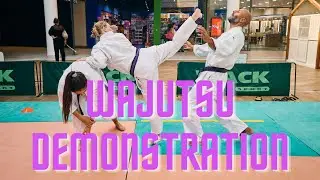D&eacute;monstration Wajutsu Meaux septembre 2023