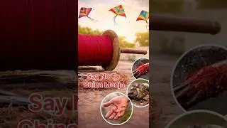 అందంగా ఎగిరే గాలిపటాలు&hellip; ప్రాణాలు తీస్తాయా? Say No To China Manja#kaarunyamomdiaries#SankrantiSafety