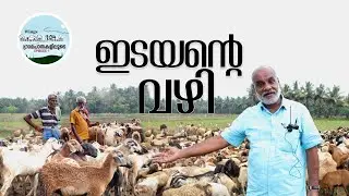 ഇടയന്റെ വഴി- ഗ്രാമപാതകളിലൂടെ പി. സുരേന്ദ്രന്&zwj; | Episode 1 | Telbrain Wings
