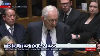 Sir Peter Bottomley MP defends Professor Kathleen Stock while paying tribute to Sir David Amess MP.