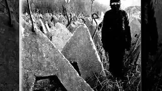 Ashine - Into the Abyss
