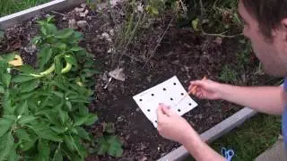 Perfect Spacing Every Time - Save Time, Money, and Seed!