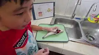 Project File: Grade 6 - Digestive System of a Fish