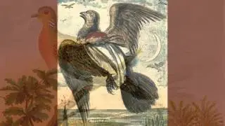 Death and Burial of Poor Cock Robin (read by Tom O'Bedlam)