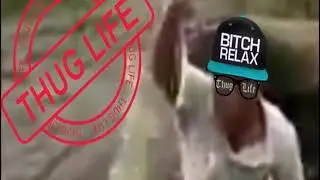 New Best Animal Thug Life Compilation 2017