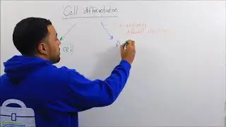 Cell Biology - Cell Differentiation (TuitionKit)