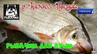 #🐠Стрим🐠#🐠Russian Fishing 4🐠 порыбачим🐠№326 ( рыбачим для души )🐠р. Нижняя Тунгуска🐠
