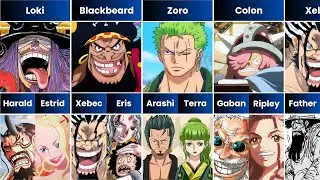 Every One Piece Character and Their Parents in One Piece