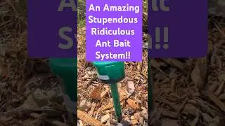 Ant Bait on Steroids! Look at this Ant Control Solution!