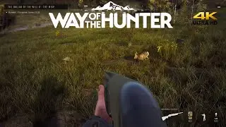 The Ballad Of The Will Of The Wisp | Way Of The Hunter Lintukoto Reserve Story Mission No Commentary