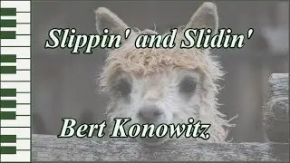 Slippin' and Slindin' - Bert Konowitz