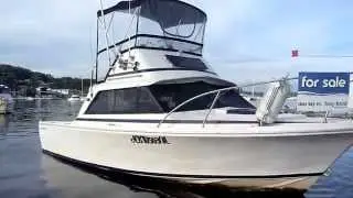 Bertram 25 Flybridge Cruiser - Walkthrough