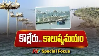 కొల్లేరులో కాలకూట విషం | Special Report on Kolleru Lake Pollution | Focus | NVT Telugu