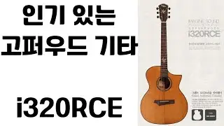 인기있는 기타 고퍼우드i320rce