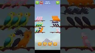 Bird Colour Sort Game - Gameplay #shorts #birdsort #birds #birdsounds #puzzle #games #viral #gaming