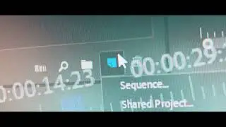 Entry #PremiereProKontest