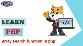 array search function in php #php35
