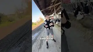 Routine di una mucca in cascina: benessere, cibo e mungitura robot 🤖🐄