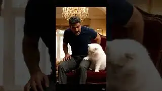 The Supreme Lord&hellip; Shamshoon the Cat 😾