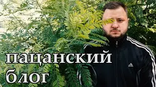 ПАЦАНСКИЙ БЛОГ. Правила жизни. Лучший телефон 2020. Morgenstern - Cadillac (Слив... и абрикос)