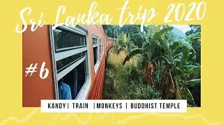 Шри Ланка  #6. Поезд в Канди. Храм зуба Будды.   \  Royal Park Travel Vlog Srilanka Kandy