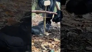 FEUERBOHREN mit FRISCH gesammelten Holz #survivalskills #feuermachen #frictionfire #outdoorsafety