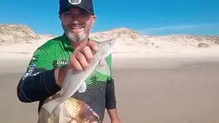 Pescaria e acampamento noturno na praia de dunas altas com o cunhado 