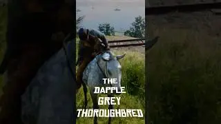 Местонахождение дикой серой чистокровной лошади в RDR2!